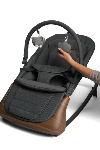 Smart Baby Bouncer